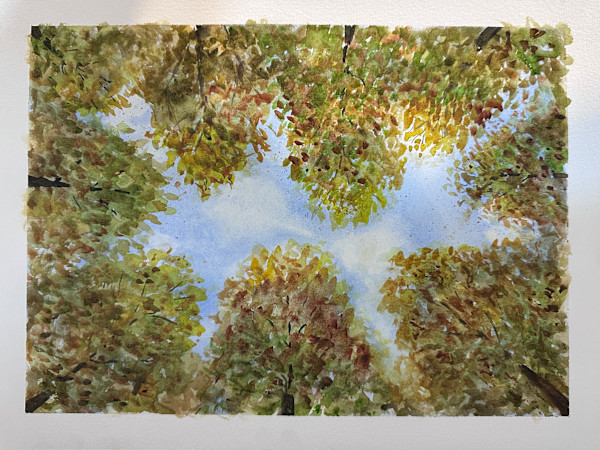 Worm's Eye View by Shelley Loring