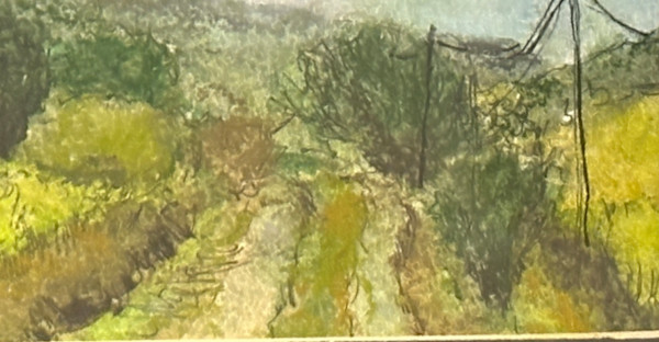 Country Road by Shelley Loring