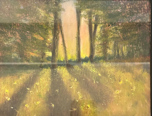 Golden Spring by Shelley Loring