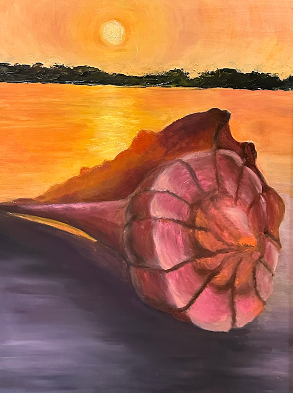 Golden Hour Conch by Shelley Loring