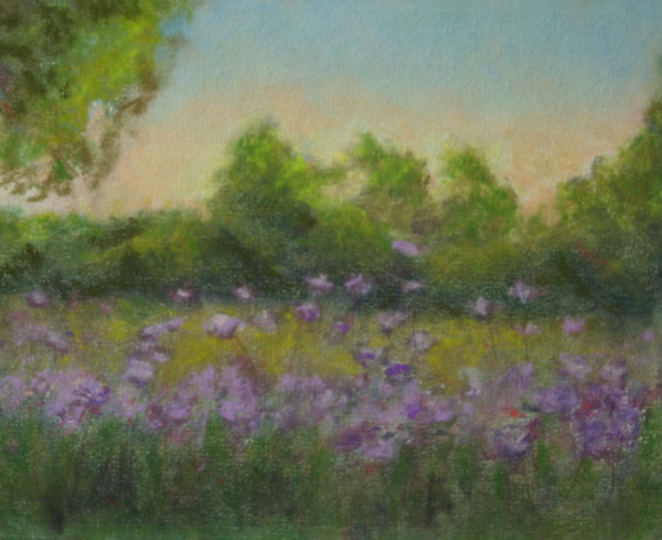 Misty Morning by Shelley Loring