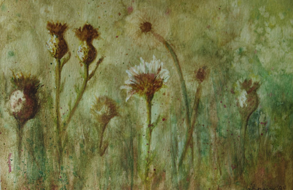 Thistles by Shelley Loring