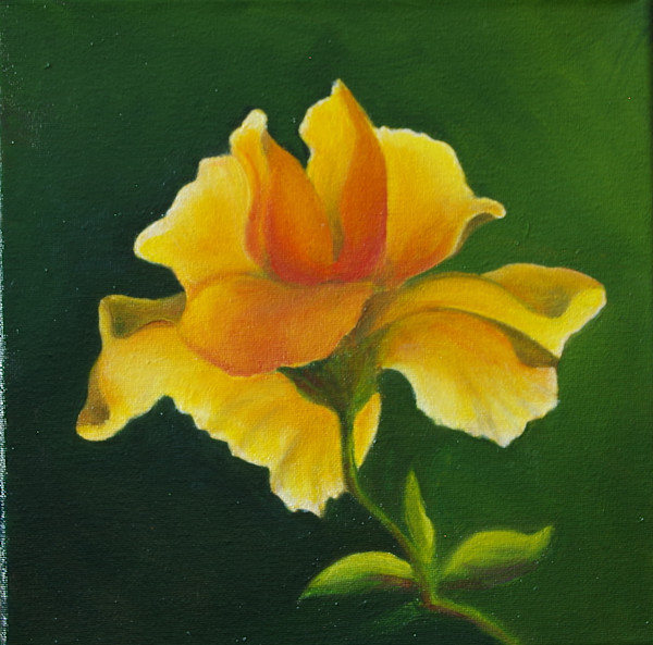Yellow Flower by Shelley Loring