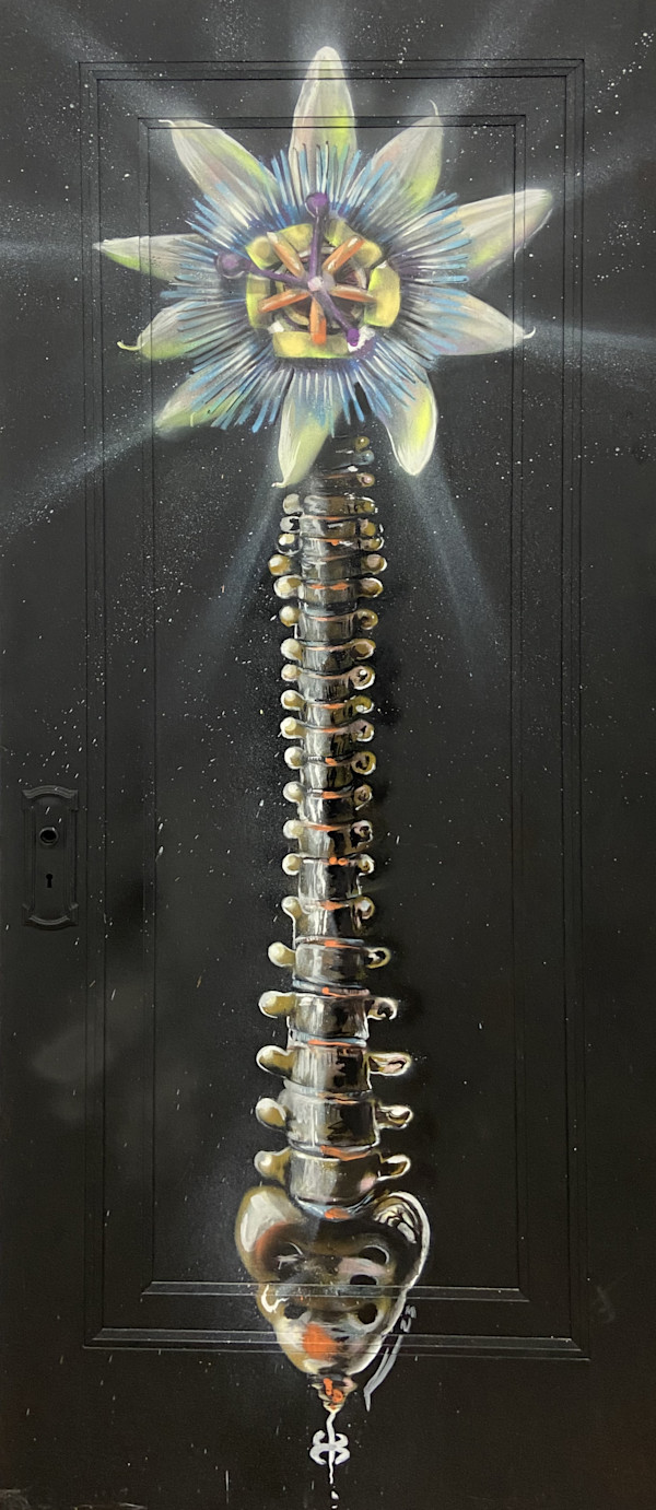 Paraguay - Doors to Mi Barrio by Ariel Vergez