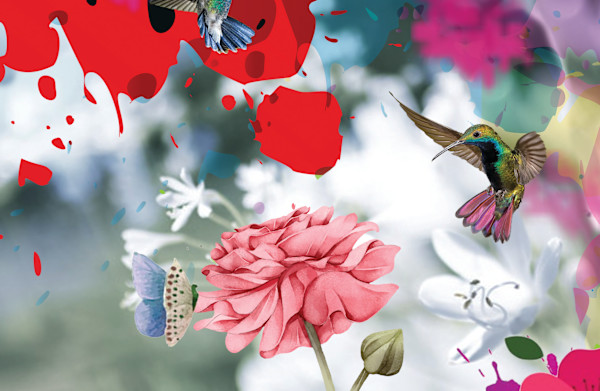 Artistic Jungle: Birds and Butterflies II by Georgio Sabino III