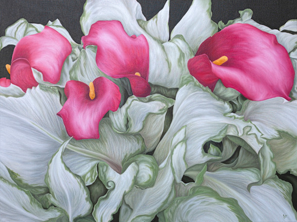 Frozen Queen Calla Lilly by Ann Travis