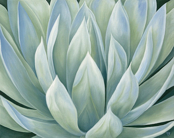 Agave by Ann Travis