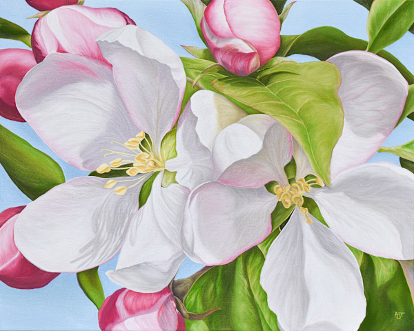 Sunlit Blossoms by Ann Travis, Image 1.