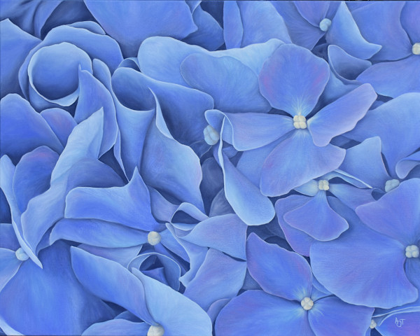 Blue Hydrangeas by Ann Travis