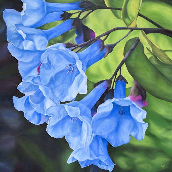 Bluebells by Ann Travis