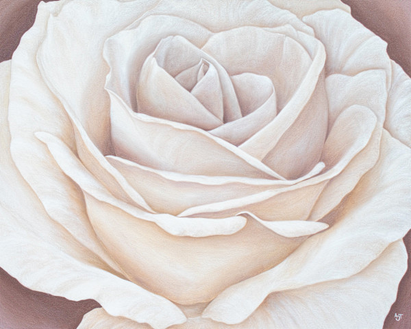 Champagne Heirloom by Ann Travis