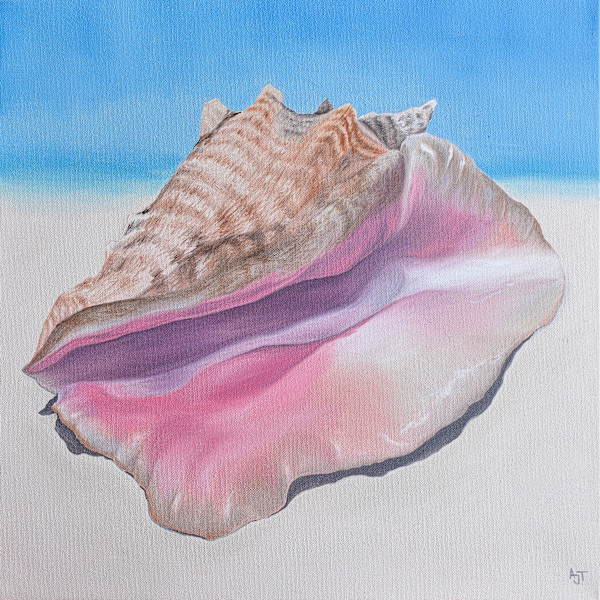 Caribbean Conch by Ann Travis