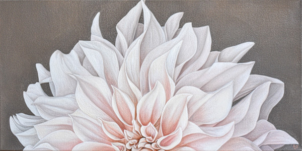 Dahlia by Ann Travis
