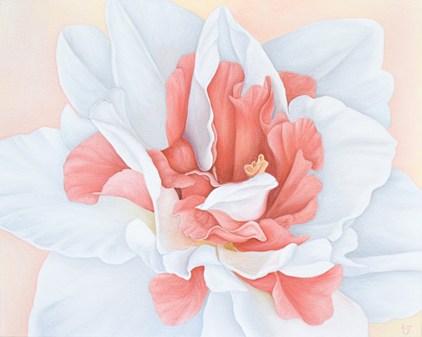 Daffodil by Ann Travis