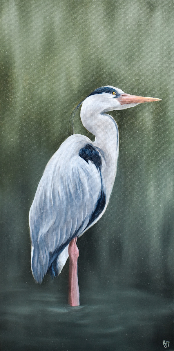 Heron by Ann Travis