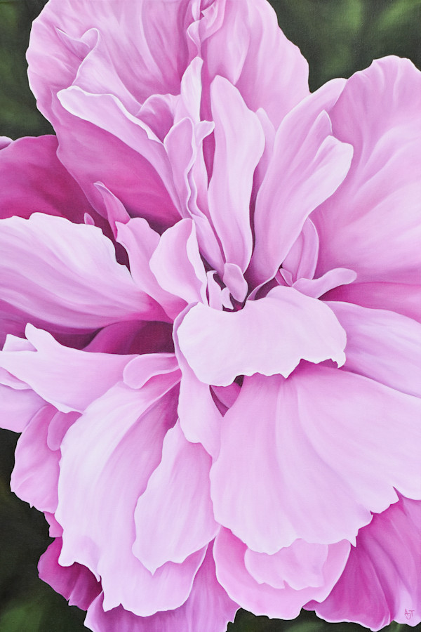 Hibiscus by Ann Travis