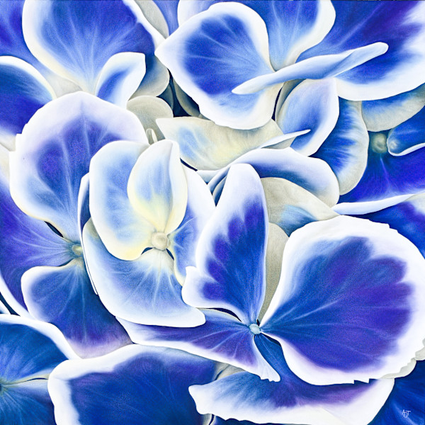 Indigo Blooms by Ann Travis