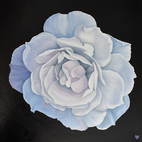 Light Reflected by Ann Travis