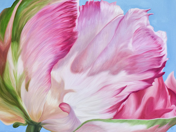 Parrot Tulip by Ann Travis