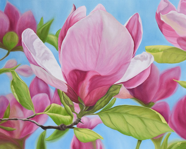 Pink Magnolia by Ann Travis