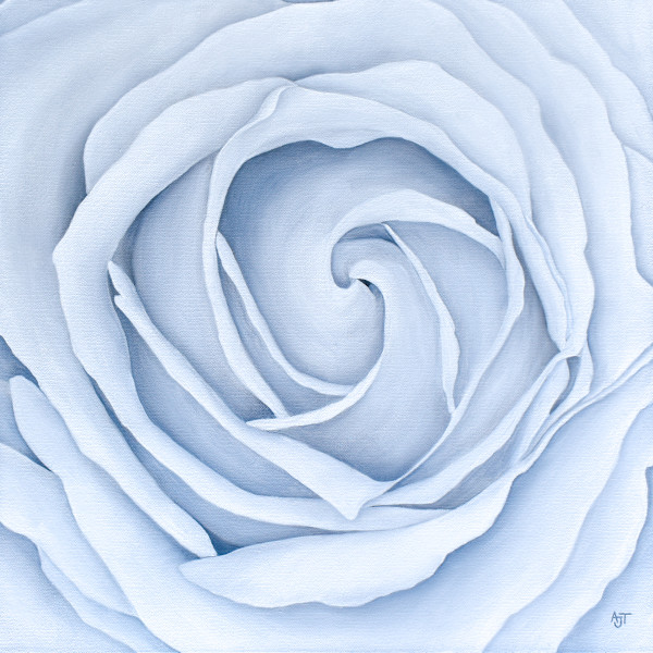 Rose Perspective by Ann Travis