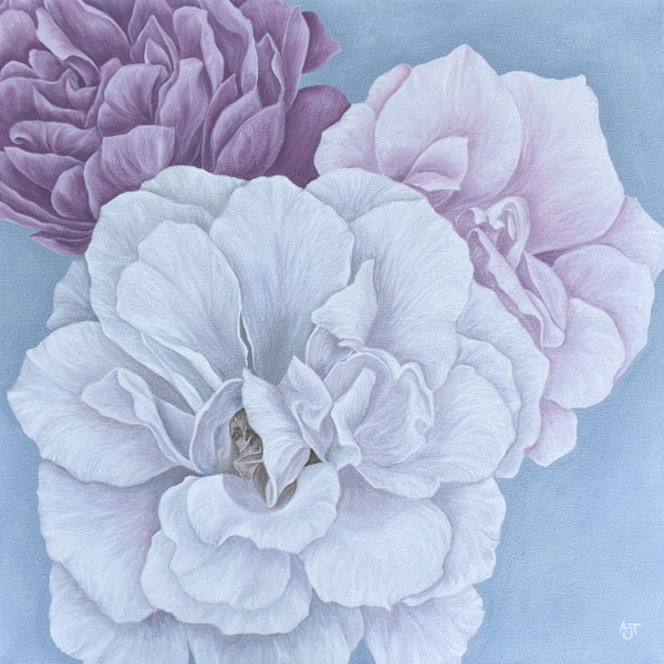 Shades of Rose by Ann Travis