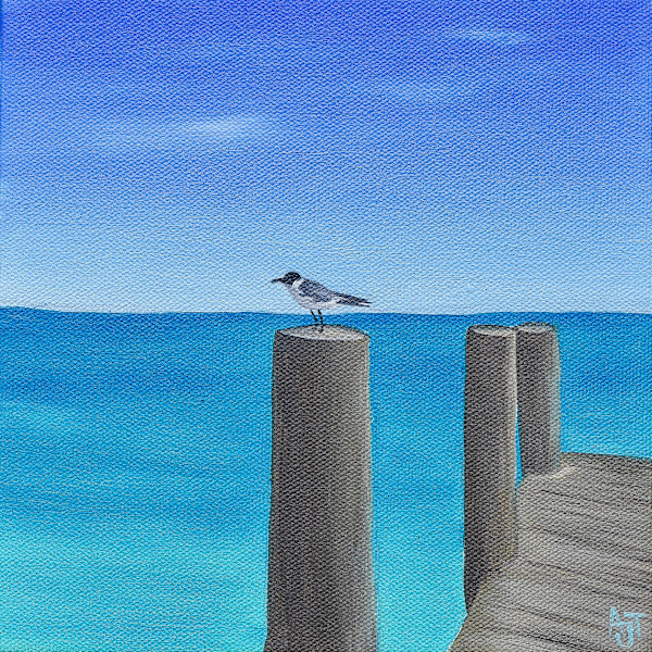 Seagull by Ann Travis