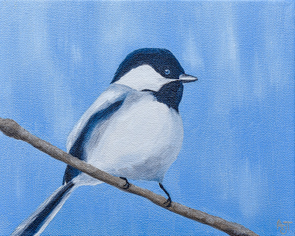 Chickadee by Ann Travis