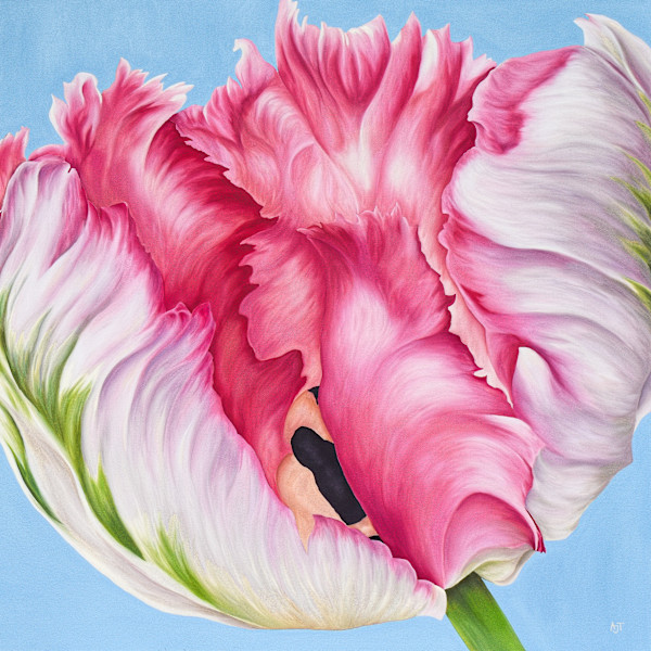 Breath of Light by Ann Travis