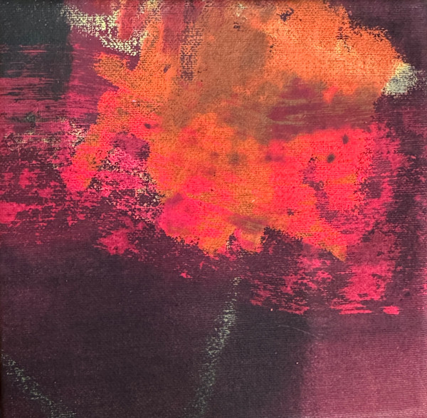 stargazing in the backyard by Tubi Ho, Image 1.