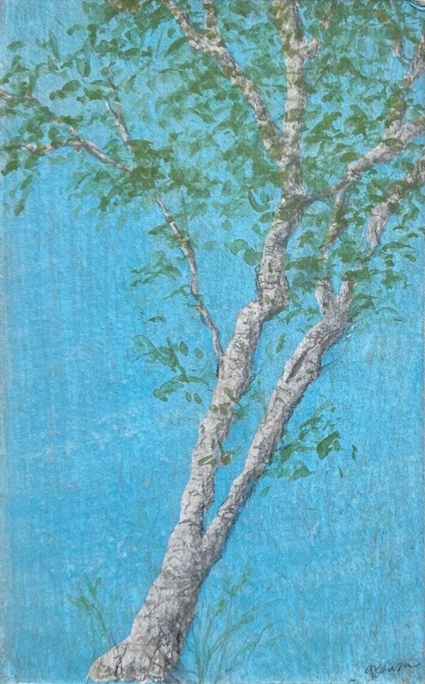 Early Spring Birches #3 by Gabrielle Senza