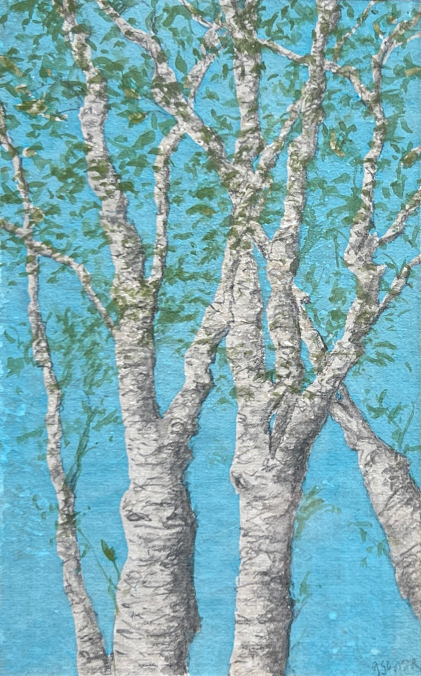 Early Spring Birches #1 by Gabrielle Senza