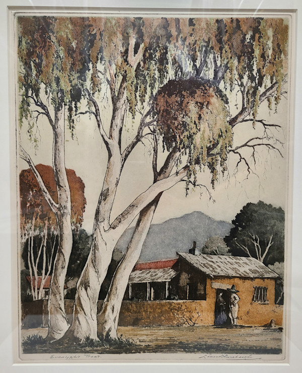 Eucalyptus Tree by Leon Pescheret