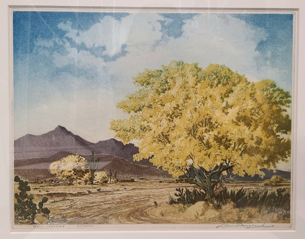 Palo, Verdes, Arizona by Leon Pescheret, Image 1.