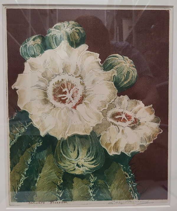 Saguaro Blossom by Leon Pescheret