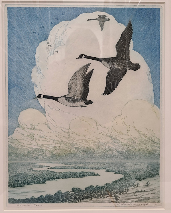 Canadian Geese by Leon Pescheret