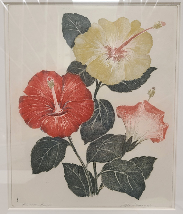 Hibiscus, Hawaii by Leon Pescheret