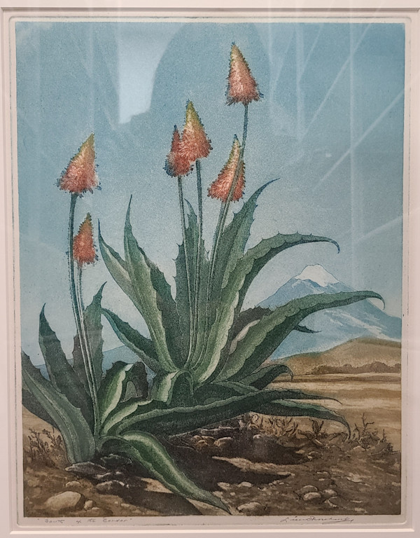 South of the Boarder by Leon Pescheret, Image 1.