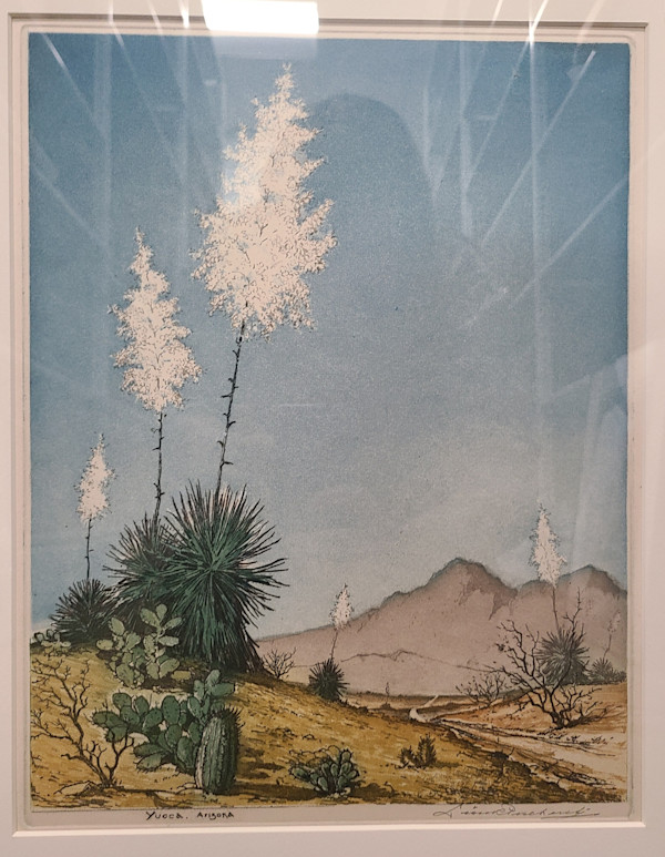 Yucca, Arizona by Leon Pescheret