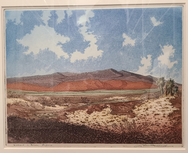 Desert in Bloom, Arizona by Leon Pescheret, Image 1.