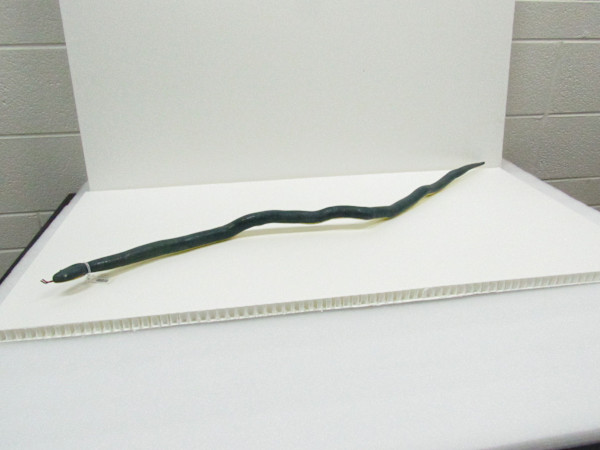 Painted Wood Snake - Green and Yellow by Oscar Spencer