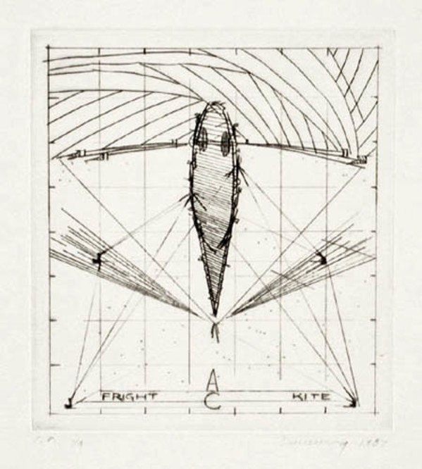 Fright Kite by Robert Cumming, Image 1.