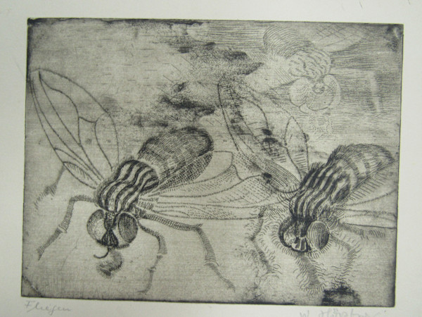 Fliegen (Flies) by Wilhem Höpfner, Image 1.