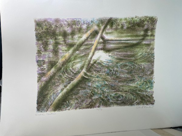 River Snag by Robert Burkert, Image 1.
