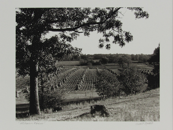 Wisconsin Farm by Fran Achen, Image 1.