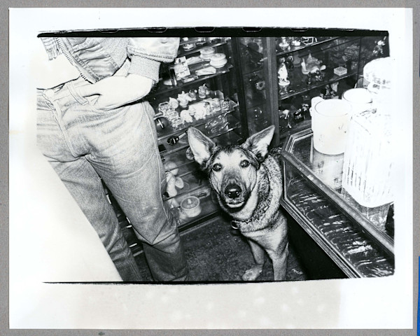 Dog by Andy Warhol, Image 1.