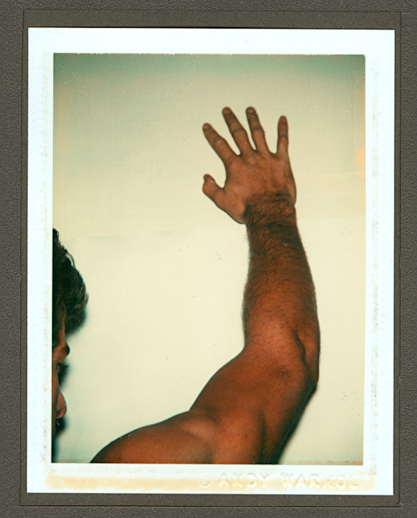 Nude Model (Male) by Andy Warhol, Image 1.