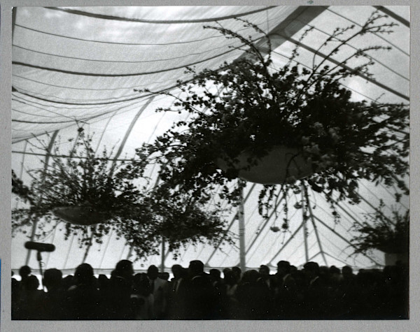 Shriver, Maria and Arnold Schwarzenagger Wedding Reception by Andy Warhol
