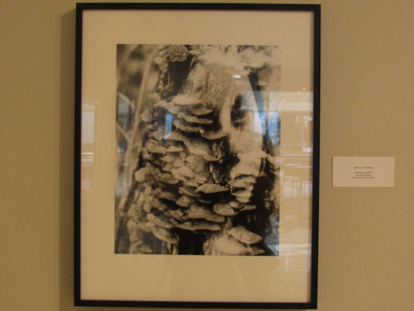 Portrait, 2014 by Natalie Goebel, Image 1.