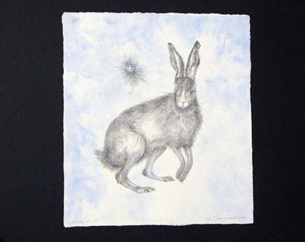 Hare by Valerie Hammond, Image 1.